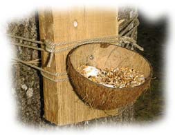 mangeoire pour oiseaux