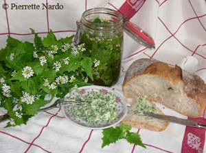 beurre et vinaigre à base d'alliaire