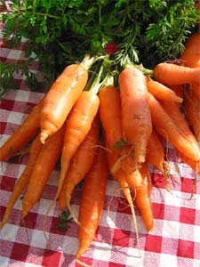 Botte de carottes - D.R.