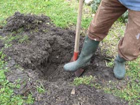 creuser un trou pour planter un arbuste