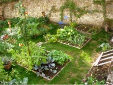 D.R. Le potager de Marie