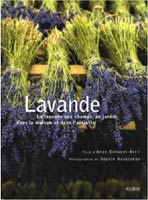 couverture du livre Lavande : La lavande aux champs, au jardin, dans la maison et dans l'assiette