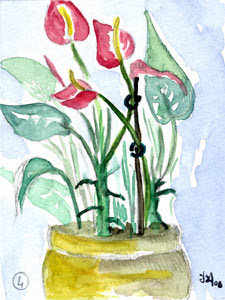 tuteur pour les tiges d'anthurium