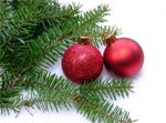 sapin de No�l