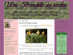 Une brindille au jardin D.R.