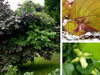 site du mois