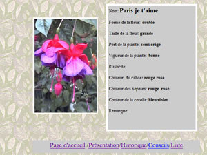 Collectionneurs de fuchsias - D.R.