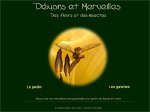 D�mons et merveilles