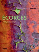 Ecorces : voyage dans l'intimit&eacute; des arbres du monde