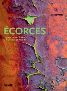 Ecorces : voyage dans l'intimit&eacute; des arbres