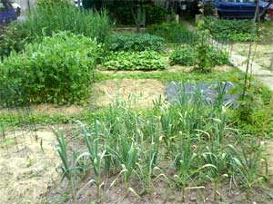 Jardin mosa�que - D.R.