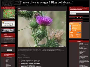 Plantes dites sauvages D.R.