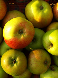 Pommes - D.R.