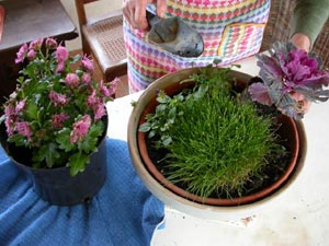 Avec un chou décoratif
