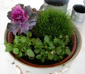 Potée basique