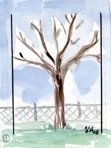 ramure de l'arbre