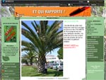 Le blog palmier de Damien