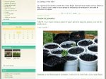 Chlorophylle : jardin naturel