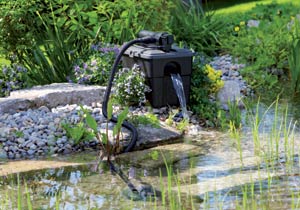 Gestion de l'eau au jardin : un bassin sans pompe ni filtre, c'est possible !