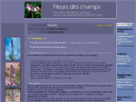 Fleurs des champs