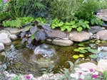 Jardin d'eau : bassin et fontaine