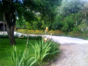 Cr&eacute;er son jardin m&eacute;diterran&eacute;en - D.R.