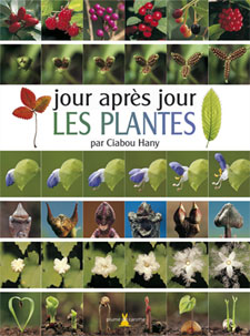 Jour apr�s jour : les plantes