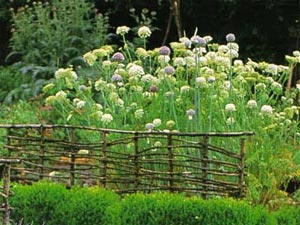 D.R. La vie du jardin