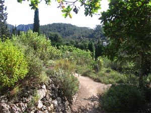 Le Jardin d'Elie - D.R.