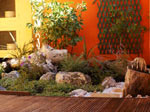 Am�nager un petit jardin de ville