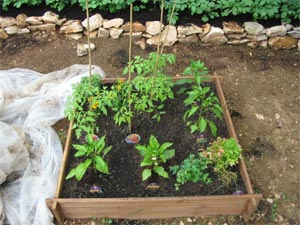 Potager en carrés - D.R.