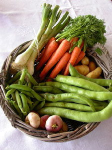 ragout-legumes-ingredients.jpg