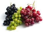 grappes de raisin