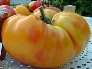 Tomate Ananas