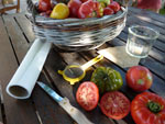 R�colte des graines de tomate