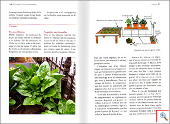 Un potager bio sur mon balcon : cliquez pour zoomer Cliquez pour zoomer