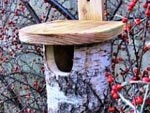 Abris pour oiseaux et insectes