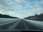 Salage des routes et migration des plantes maritimes