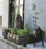 Bacsac : des sacs en toile géotextile à utiliser comme des pots