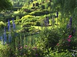 Les sorties pour des journ�es gorg�es de bonheur