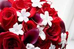 Langage des fleurs : toutes les symboliques