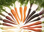 Vous avez dit orange les carottes ?