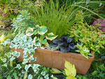Composition d'automne