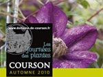 Entretien avec Patrice Fustier - 53e journ�es de Courson
