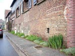 Embellissons nos murs - Rennes