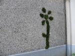 La guerilla gardening d�barque � Grenoble