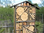 H�tel � insectes : quels int�r�ts ?