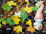 Le Jardin des F�es
