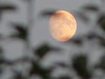 Jardiner avec la lune