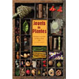 Jouets de Plantes